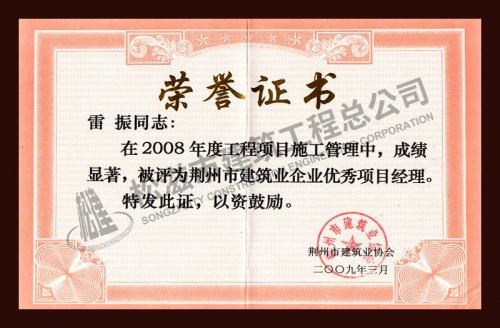 雷振2008年優秀項目經理